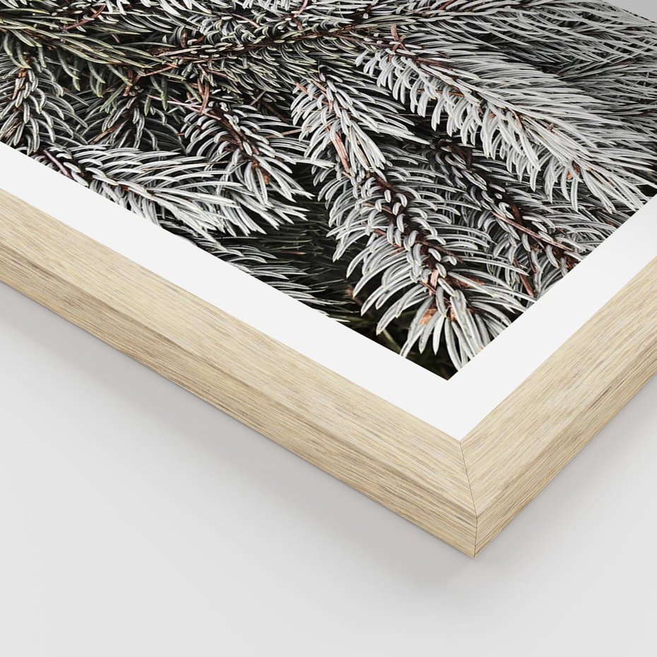 Plakat w ramie 30x40 - Cisza Zimowej Natury - zima, iglaste gałązki - rama drewno