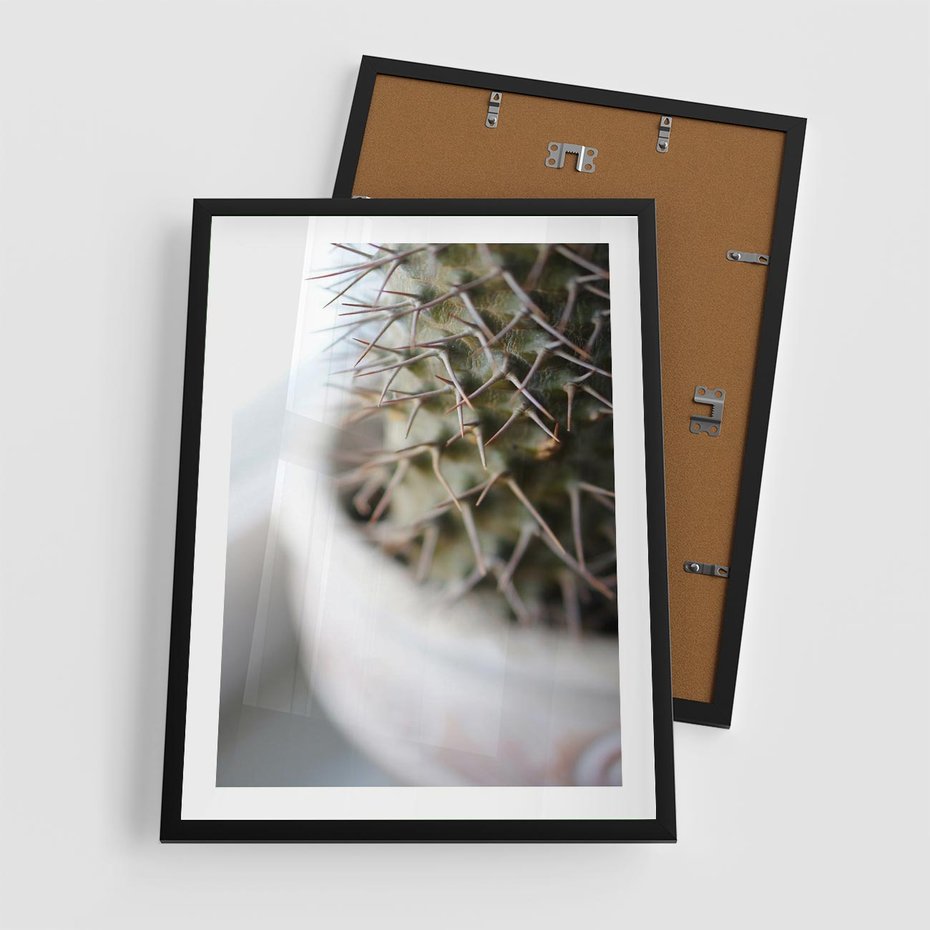 Plakat w ramie 50x70 - Kaktus w Zbliżeniu - kaktus, igły - rama czarna
