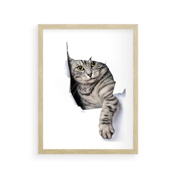 Plakat w ramie 30x40 - Tajemniczy kot i jego świat - kot, dziura - rama drewno