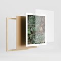 Plakat w ramie 40x50 - Zielona Uroda Sukulentów - sukulenty, zielone liście - rama drewno