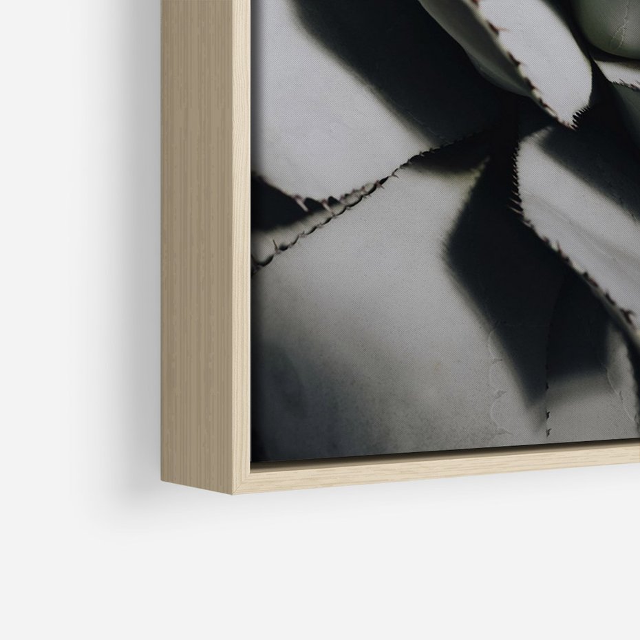 Obraz w ramie 50x70 - Sukulenty wśród kaktusów - sukulenty, kaktusy - rama drewno