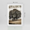 Plakat w ramie 50x70 - Spokojna Osamotniona Chwila - beżowe kolory, samotne drzewo na polu - rama biała