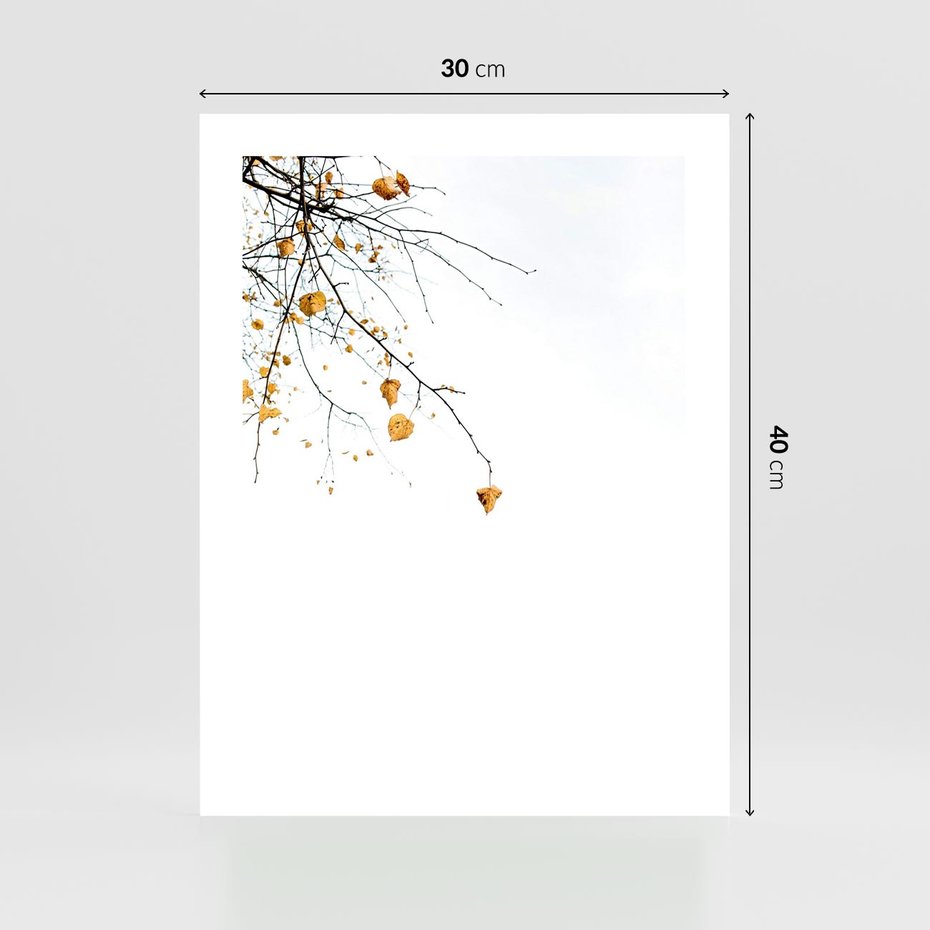 Plakat bez ramy 30x40 - Złota Jesień - drzewo, żółte liście