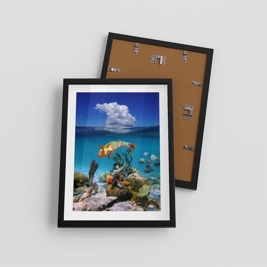 Plakat w ramie 30x40 - Podwodna rafa koralowa: kolorowy oceanowy świat - rafa, koralowa - rama czarna