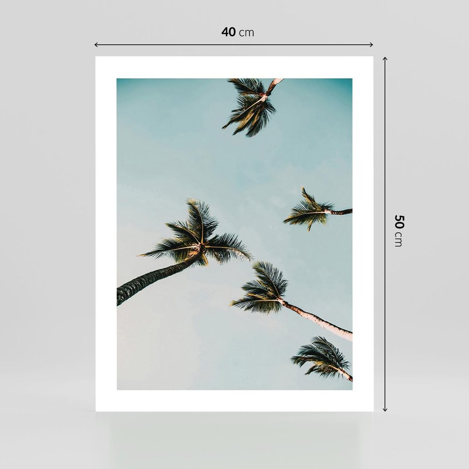 Plakat bez ramy 40x50 - Palmy i Niebo - palmy, ujęcie z dołu