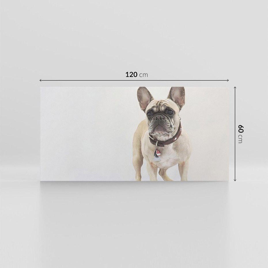 Obraz na płótnie 120x60 - Wernisaż psiego wdzięku - pies, piesek