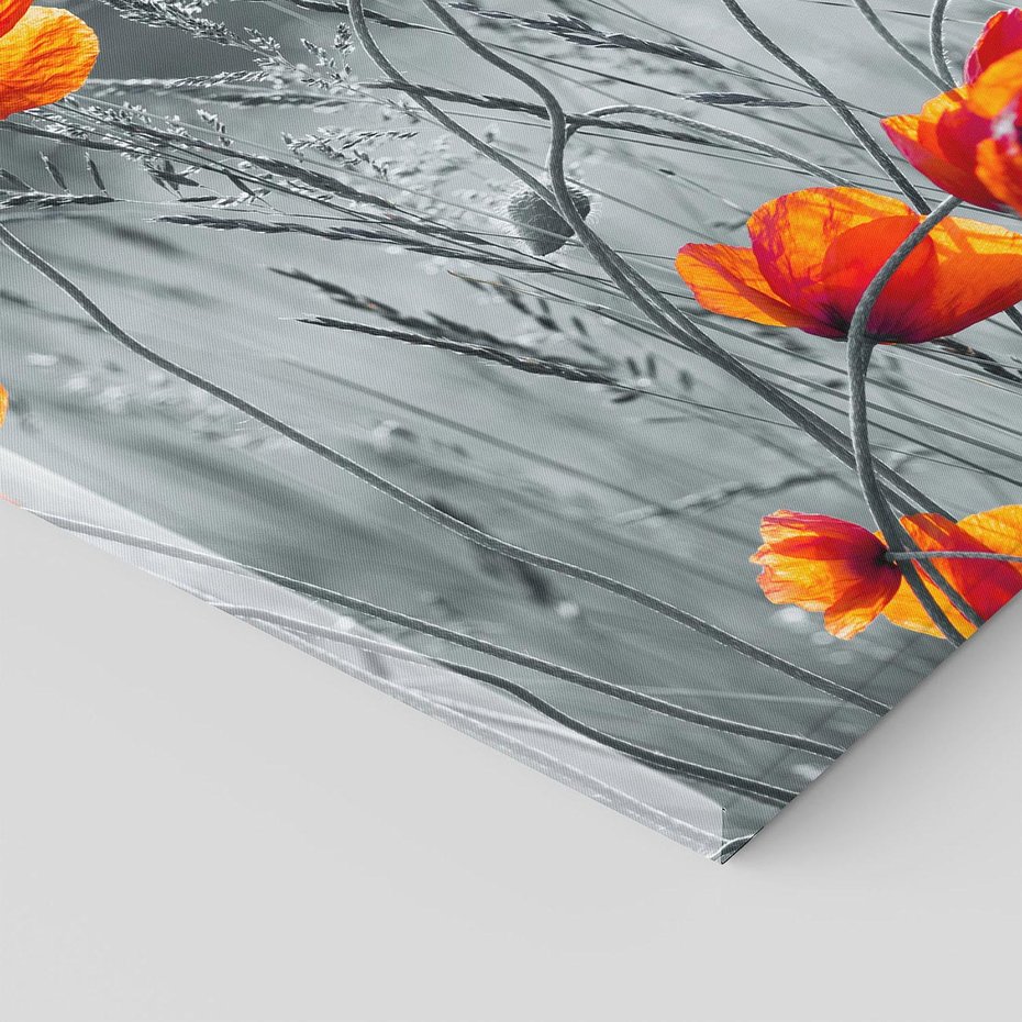 Obraz na płótnie 30x30 - Malownicza łąka - maki, mak