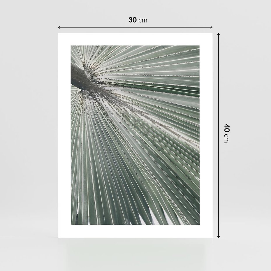 Plakat bez ramy 30x40 - Jasnozielony Świat - palma, liść