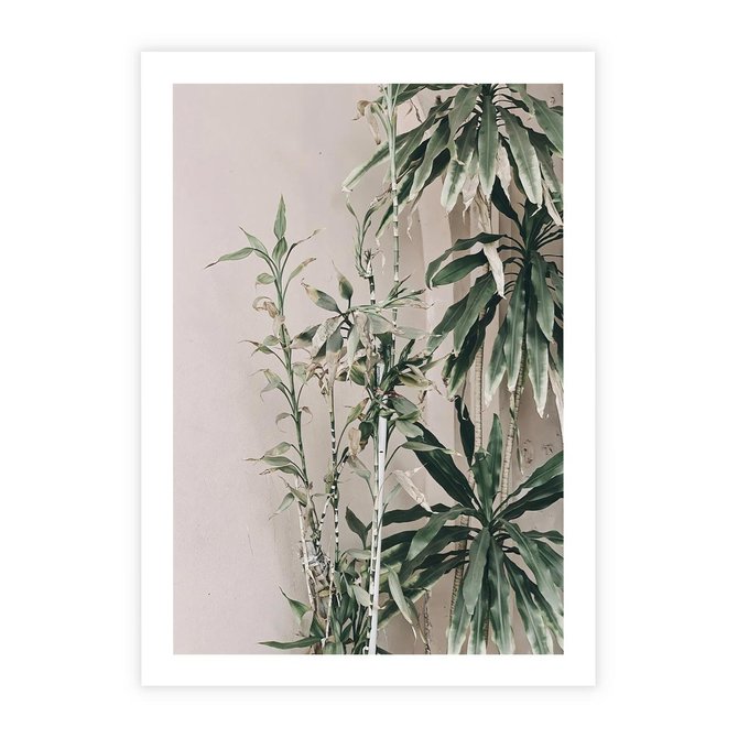 Plakat bez ramy 30x40 - Egzotyczna Kompozycja - liście, rośliny tropikalne na tle ściany