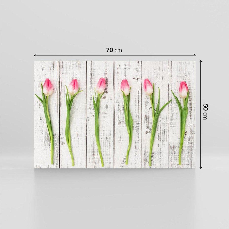 Obraz na płótnie 70x50 - Kwintesencja Piękna - kwiaty, tulipany