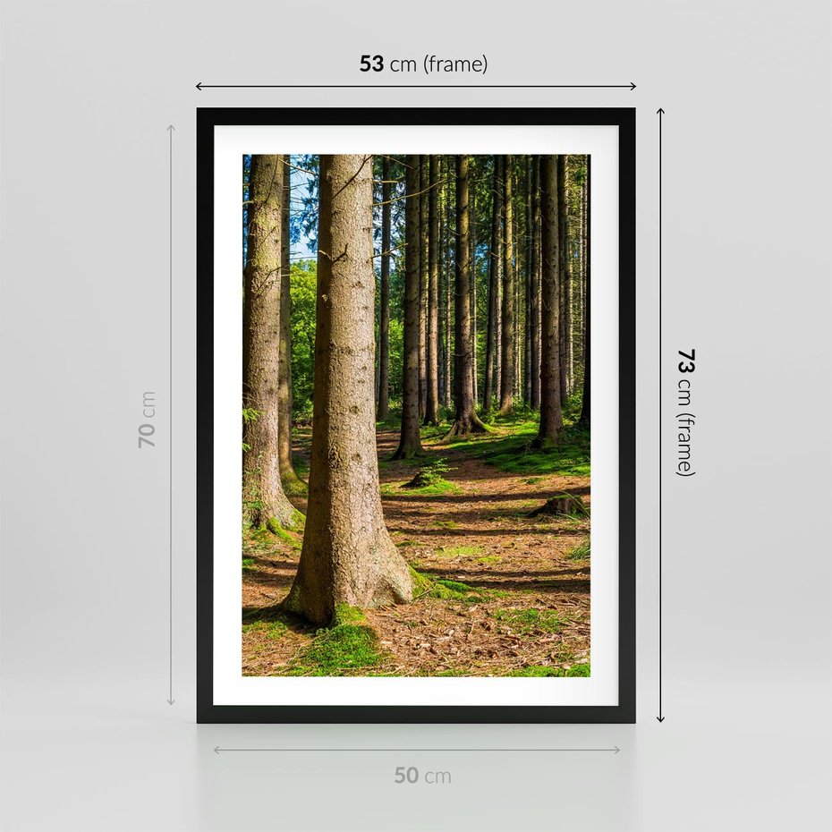 Plakat w ramie 50x70 - Las: harmonia natury - las, drzewa - rama czarna