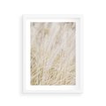 Plakat w ramie 30x40 - Białe Trawy Pampas - suche trawy, białe trawy - rama biała