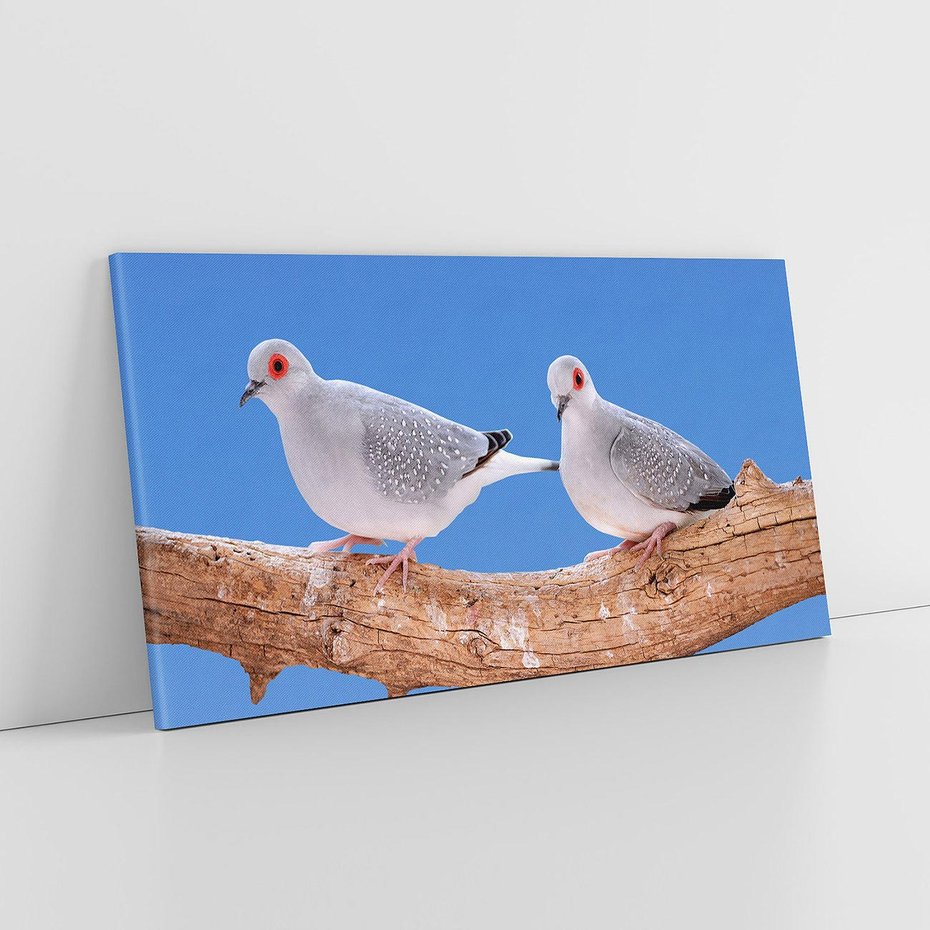 Obraz na płótnie 120x60 - Gołębie w locie - gołębie, gołąb