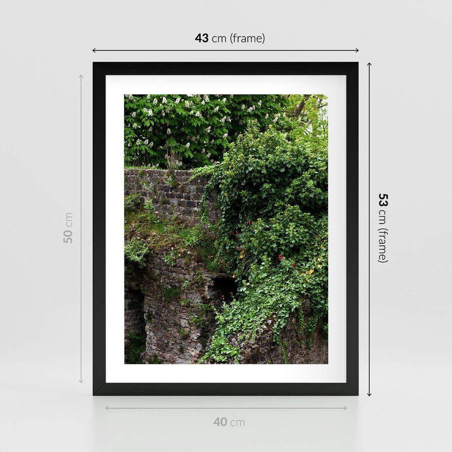 Plakat w ramie 40x50 - Żywiołowa Zieleń - mur, liście - rama czarna