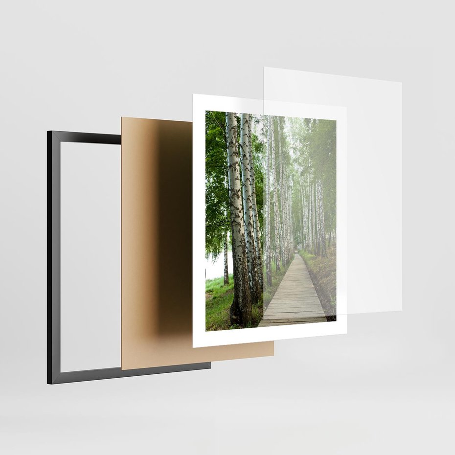 Plakat w ramie 40x50 - Spacer ścieżką przez brzozowy las - las, ścieżka - rama czarna