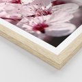 Plakat w ramie 30x40 - Kwitnąca Wiśnia - kwiaty, kwitnąca - rama drewno