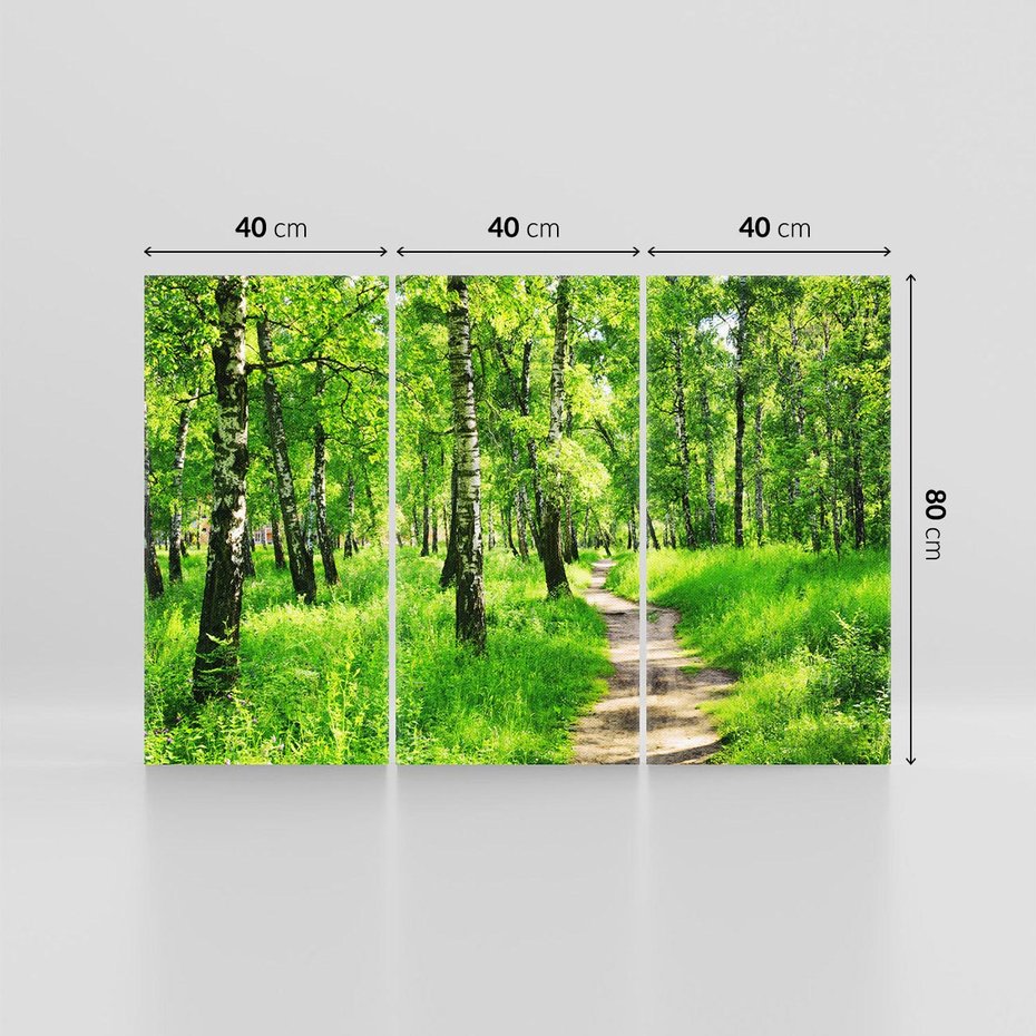 Obraz na płótnie 120x80 - odkryj piękno drzew - las, drzewa