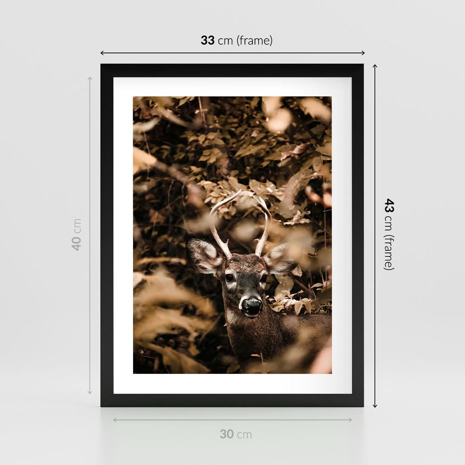Plakat w ramie 30x40 - Jesienny Jeleń w Lesie - jeleń, w lesie - rama czarna