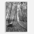 Obraz w ramie 70x100 - Spadające Liście - czarno białe zdjecie, park - rama biała