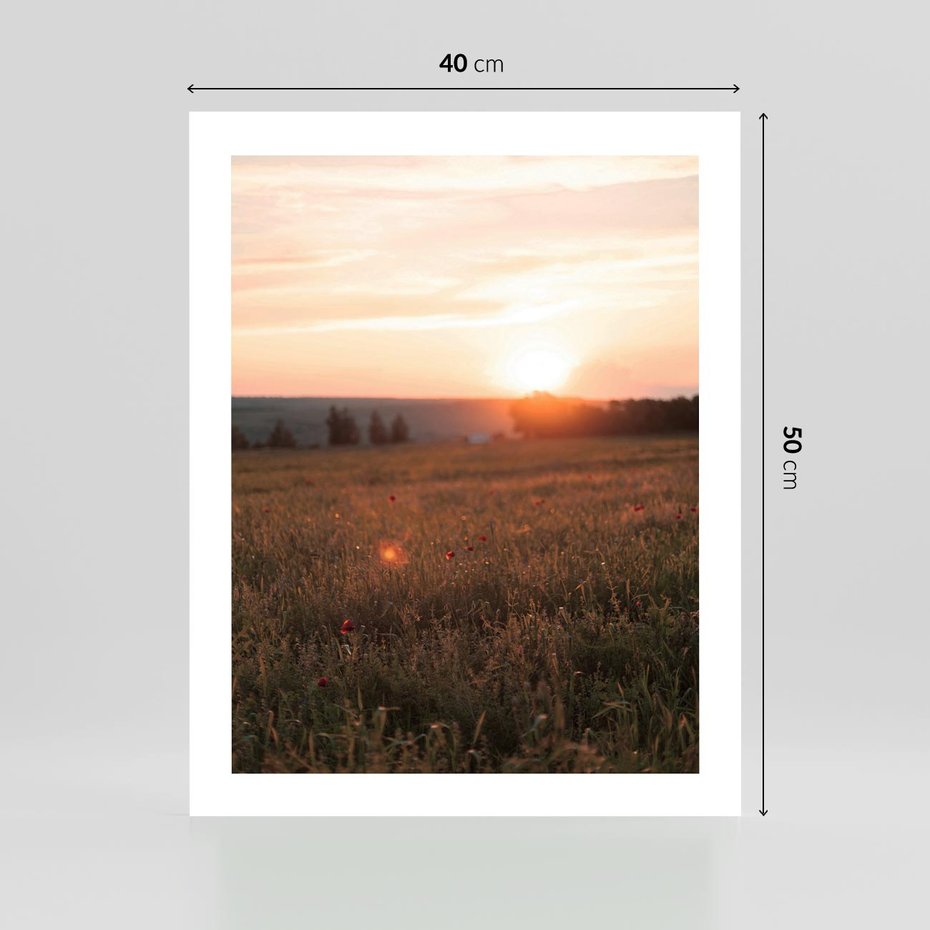 Plakat bez ramy 40x50 - Łąka we Wschodzącym Słońcu: Magia Poranka - łąka, krajobraz