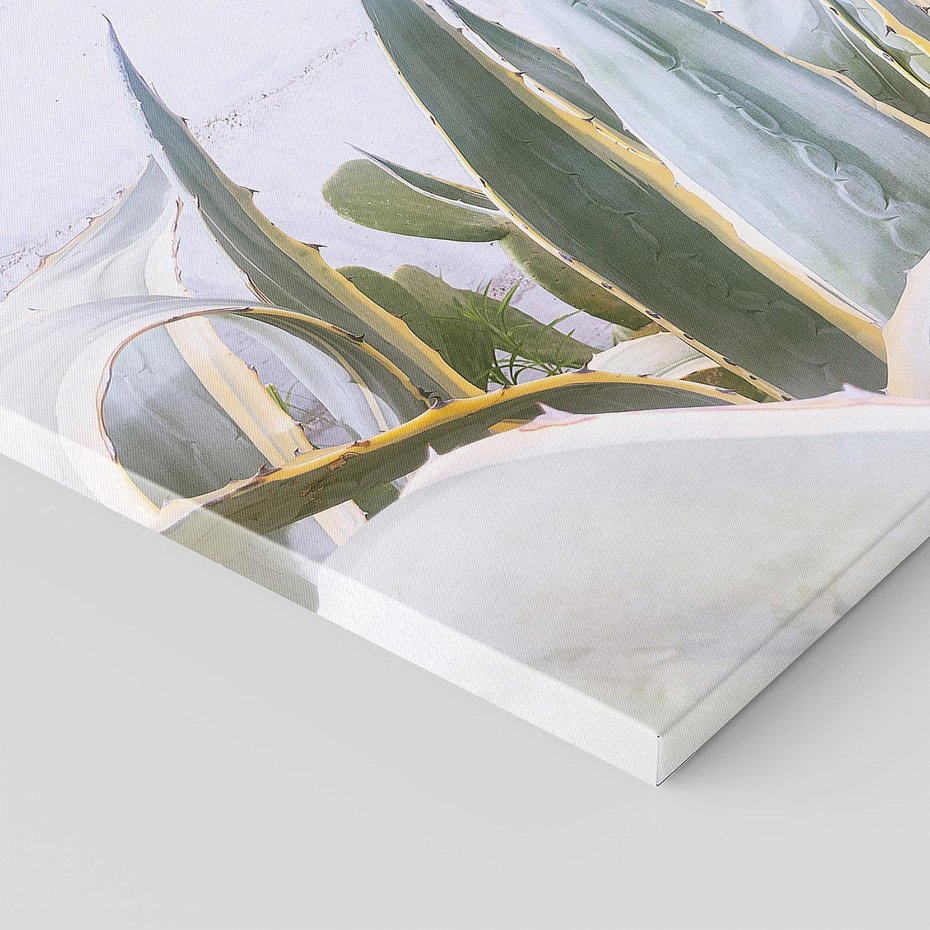 Obraz na płótnie 70x70 - Sukulentowe liście - liście, sukulenty