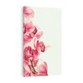 Obraz na płótnie 70x100 - Orchidea - delikatne kwiaty - orchidea, kwiaty