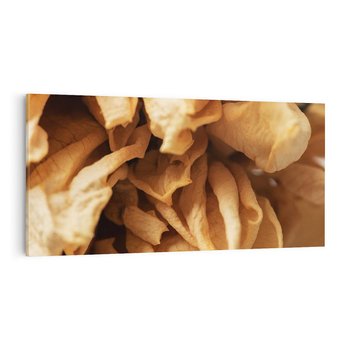 Obraz na płótnie 100x50 - Zjawiskowe zasuszone kwiaty - zasuszone, kwiaty