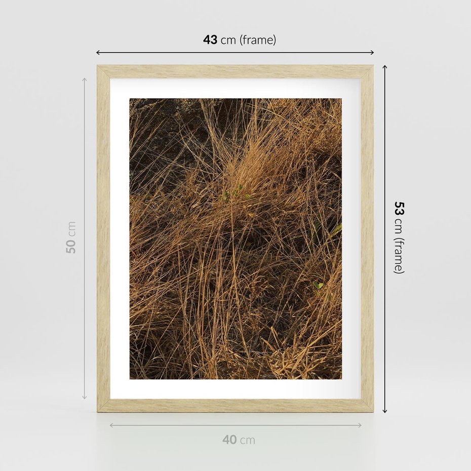 Plakat w ramie 40x50 - Szlachetna Suchość Traw - trawy, suche trawy - rama drewno