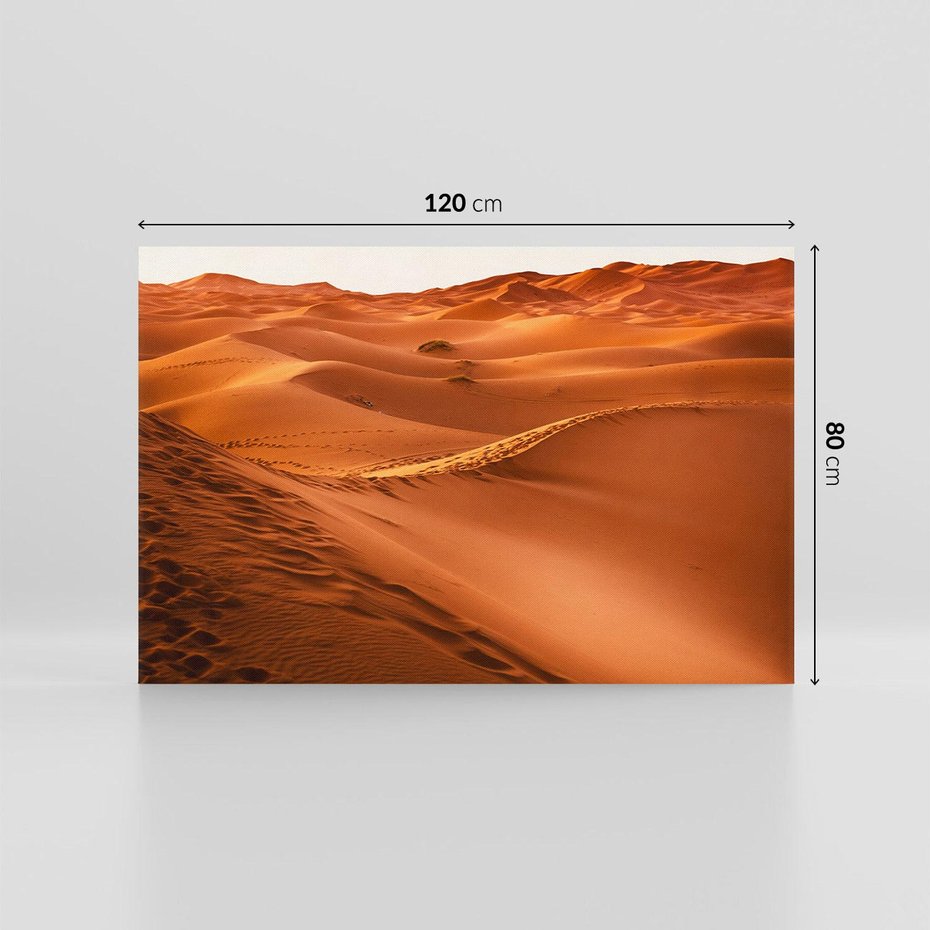 Obraz na płótnie 120x80 - Pustynny krajobraz - pustynia