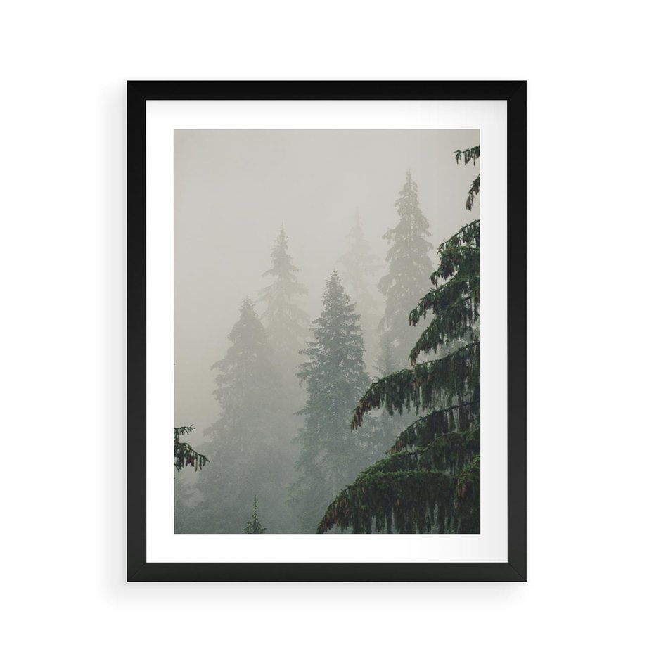 Plakat w ramie 40x50 - Mglista przemiana lasu - las, mgła - rama czarna