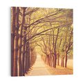 Obraz na płótnie 30x30 - Wędrówka między drzewami - droga, drzewa