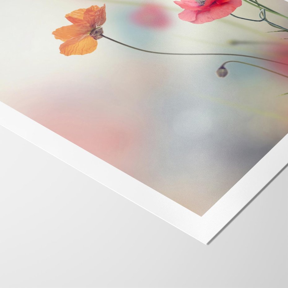 Plakat bez ramy 40x50 - Urok natury - kwiaty, akwarela