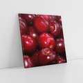 Obraz na płótnie 40x40 - Wiśnie Owocowa Rozkosz - wiśnie, owoce