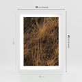 Plakat w ramie 30x40 - Szlachetna Suchość Traw - trawy, suche trawy - rama biała