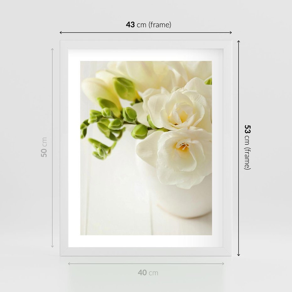 Plakat w ramie 40x50 - Subtelność białych frezji - frezja, białe - rama biała