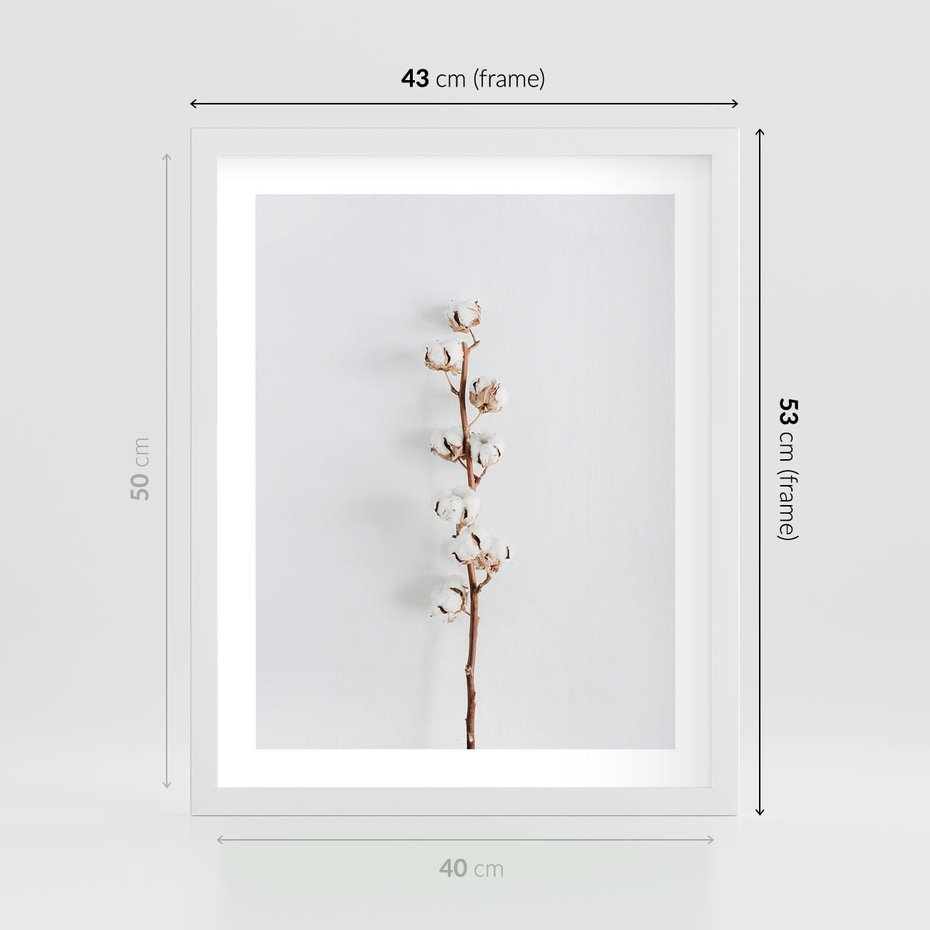 Plakat w ramie 40x50 - Minimalistyczna Gałązka Bawełny - bawełna, gałązka bawełny - rama biała