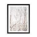 Plakat w ramie 50x70 - Szron na Gałęziach - ośnieżone gałązki, szron na gałęziach - rama czarna