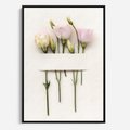 Obraz w ramie 70x100 - Białe kwiatowe uniesienia - białe, kwiaty - rama czarna