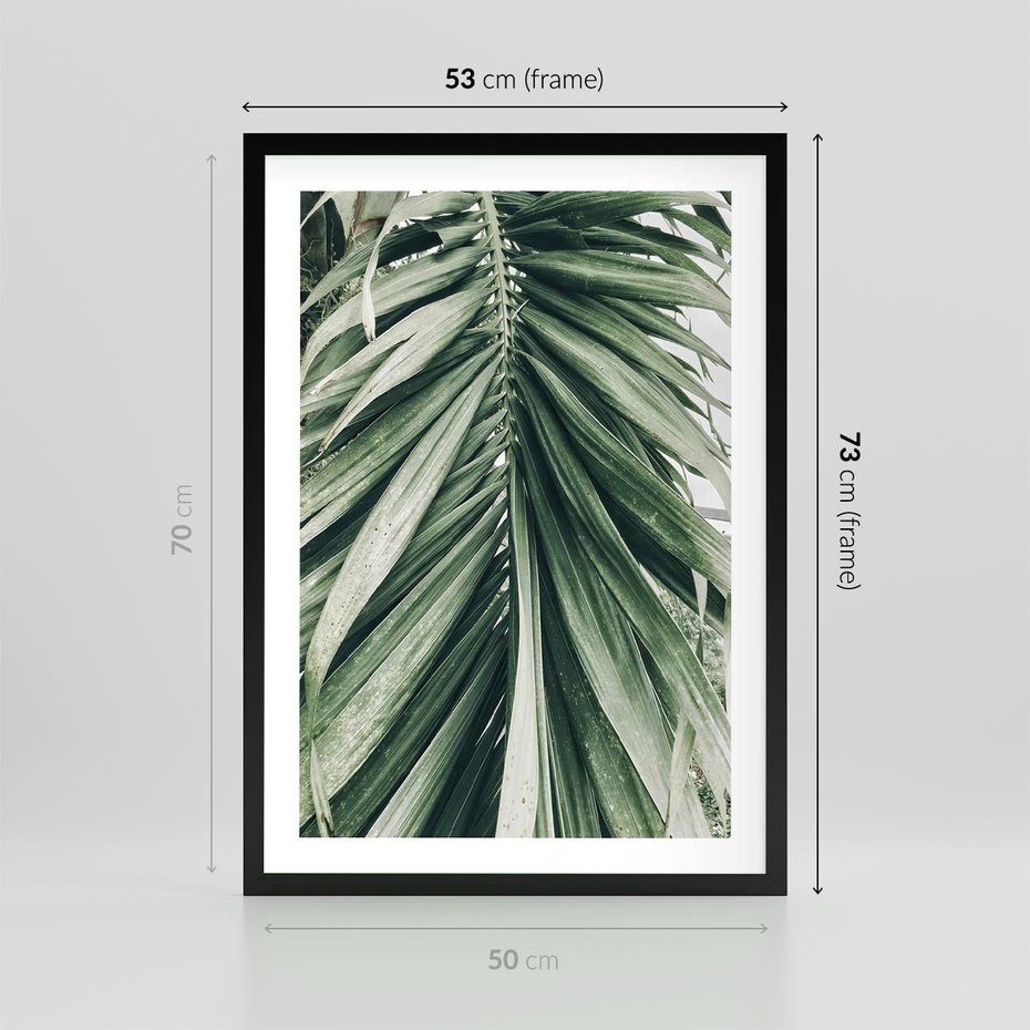 Plakat w ramie 50x70 - Spokojna Piękność Palmowych Liści - palma, liście palmy - rama czarna