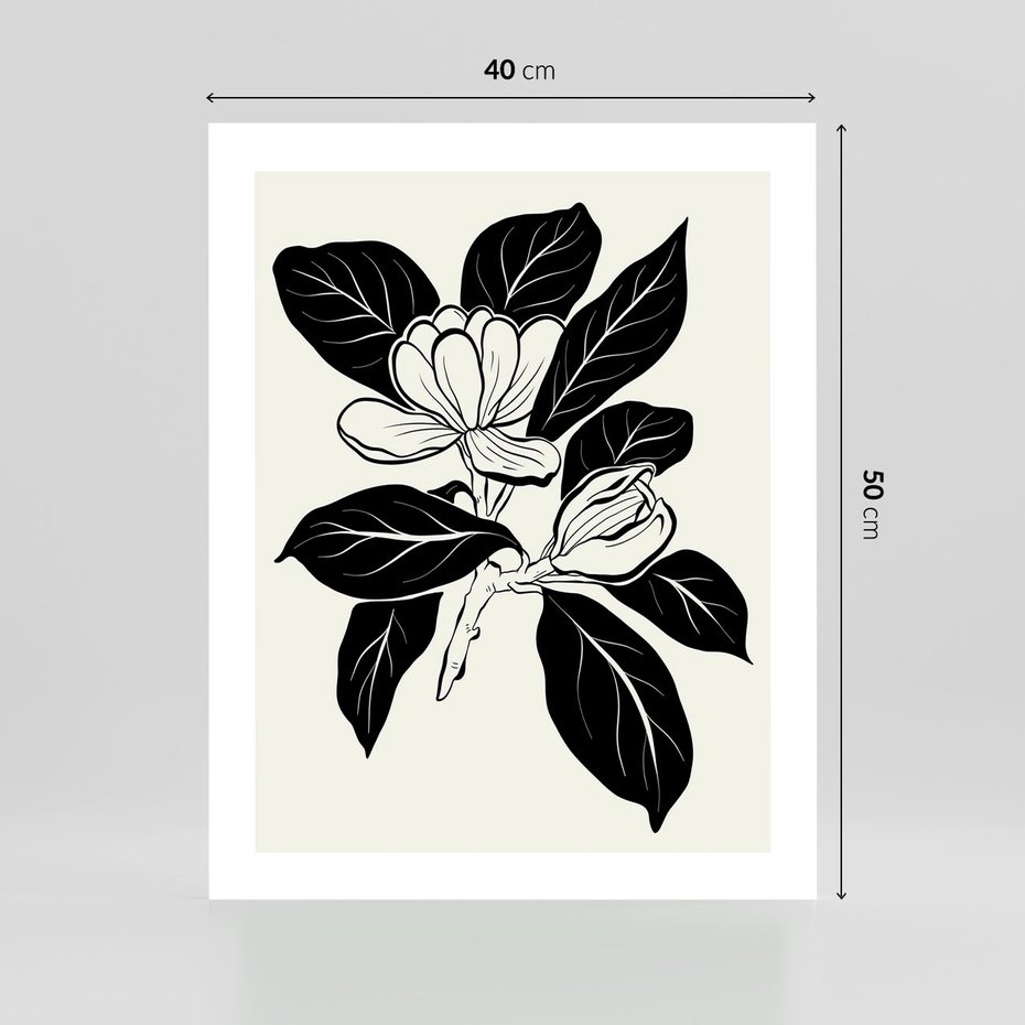 Plakat bez ramy 40x50 - Spojrzenie w kształty kwiatów - kwiaty magnolii, minimalizm