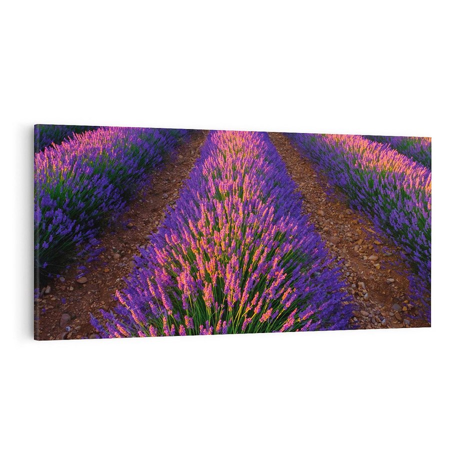 Obraz na płótnie 120x60 - Fioletowa Magia - pole, lawendy