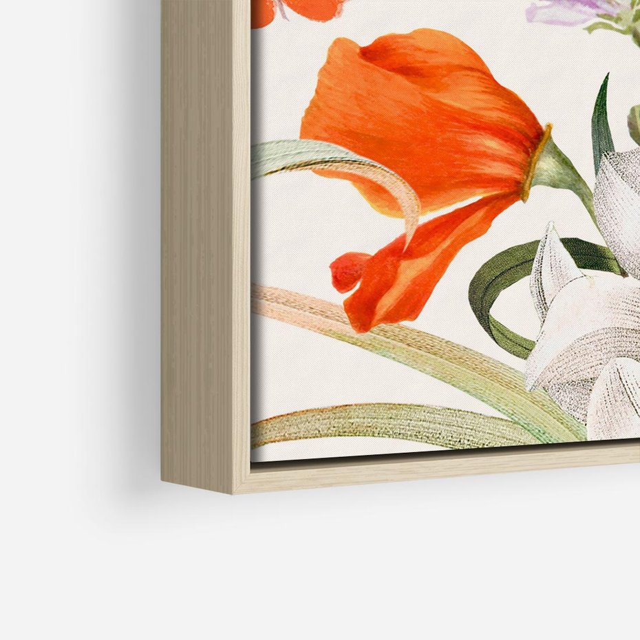 Obraz w ramie 50x50 - Polne Kwiaty - polne kwiaty, na białym tle - rama drewno