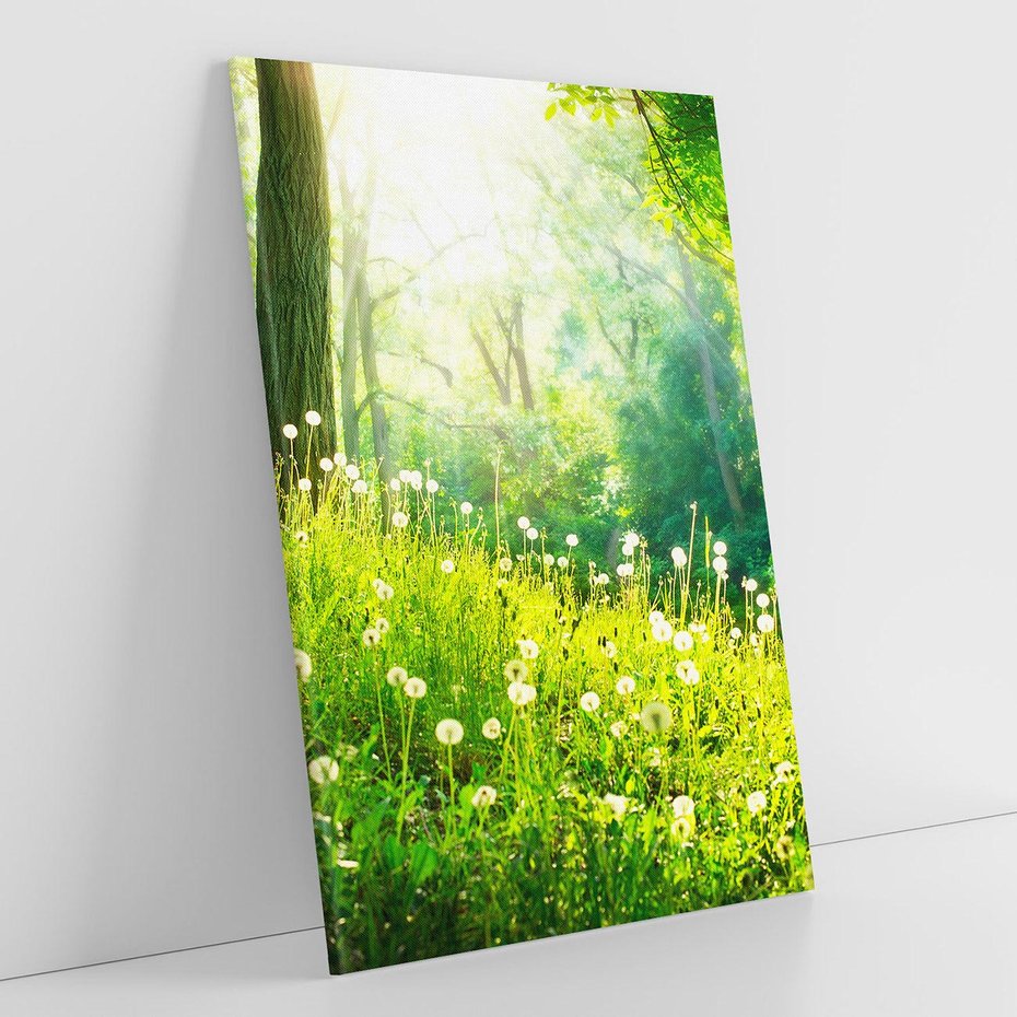 Obraz na płótnie 70x100 - Urok natury - magiczny las na płótnie - las, trawa