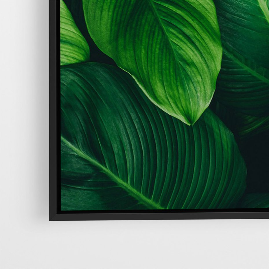 Obraz w ramie 50x70 - Palma Liście Kwiat - palma, liście - rama czarna