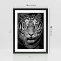 Plakat w ramie 30x40 - Tygrys Czarno-Biały: Siła i Delikatność - tygrys, czarno - rama czarna