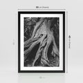 Plakat w ramie 30x40 - Siła Natury - czarno biała fotografia, korzenie wielkiego drzewa - rama czarna