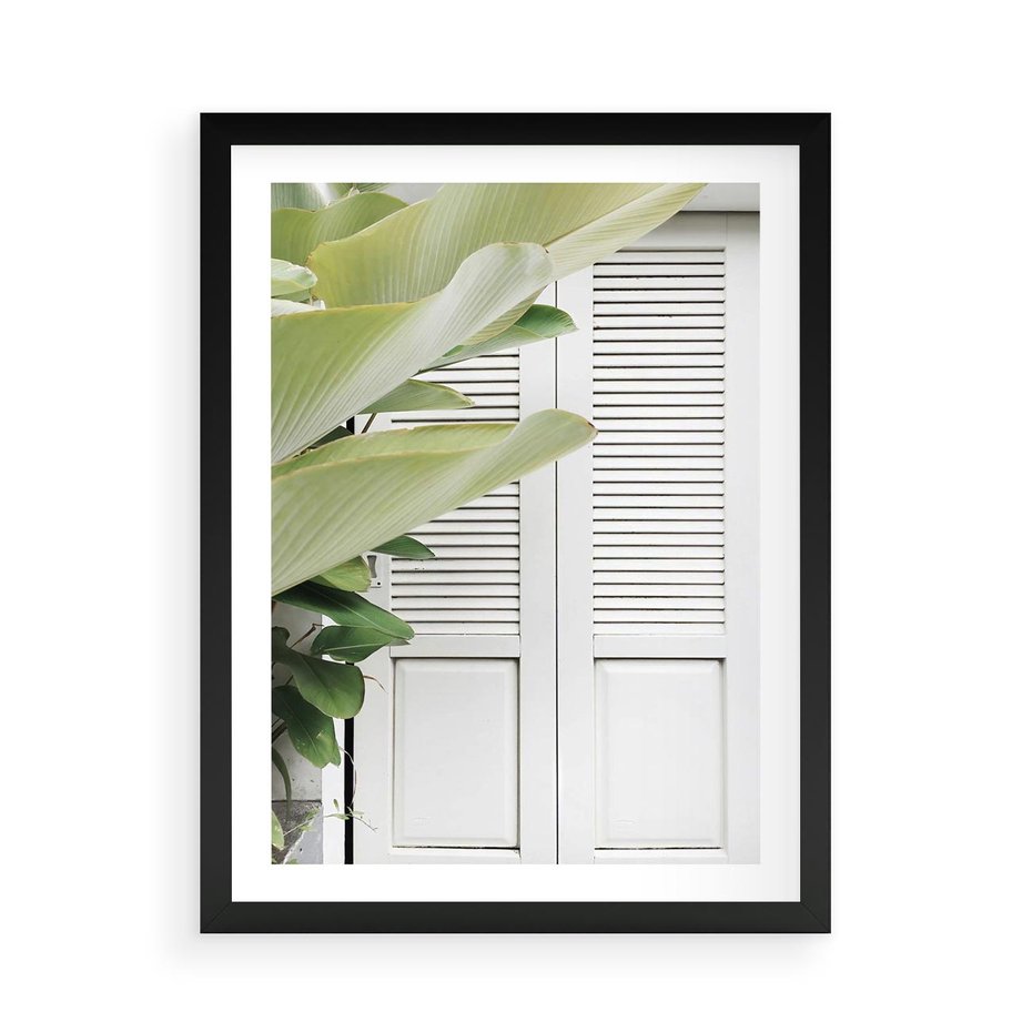 Plakat w ramie 50x70 - Tropikalne Okno - białe okiennice, zielona tropikalna roślina - rama czarna
