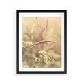 Plakat w ramie 40x50 - Boho Wizja - suszone, trawy - rama czarna