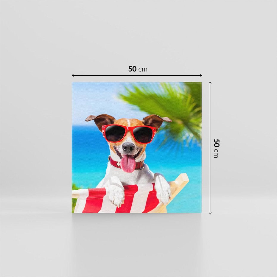 Obraz na płótnie 50x50 - Wakacyjny pies: Słoneczne przygody - pies, wakacje