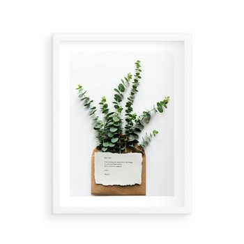 Plakat w ramie 50x70 - Eukaliptusowa harmonia - eukaliptus, liście - rama biała